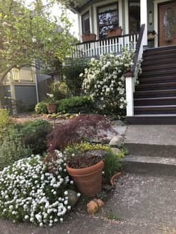 Annex Vancouver One Bedroom - Property B - Image 2